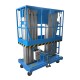 Двухмачтовый подъемник PROLIFT GTWY8-200 AC