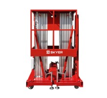 Двухмачтовый подъемник SKYER GTWY8-200 AC от сети 220 в
