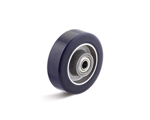 Колесо TORWEGGE T-100x30-ZEUR